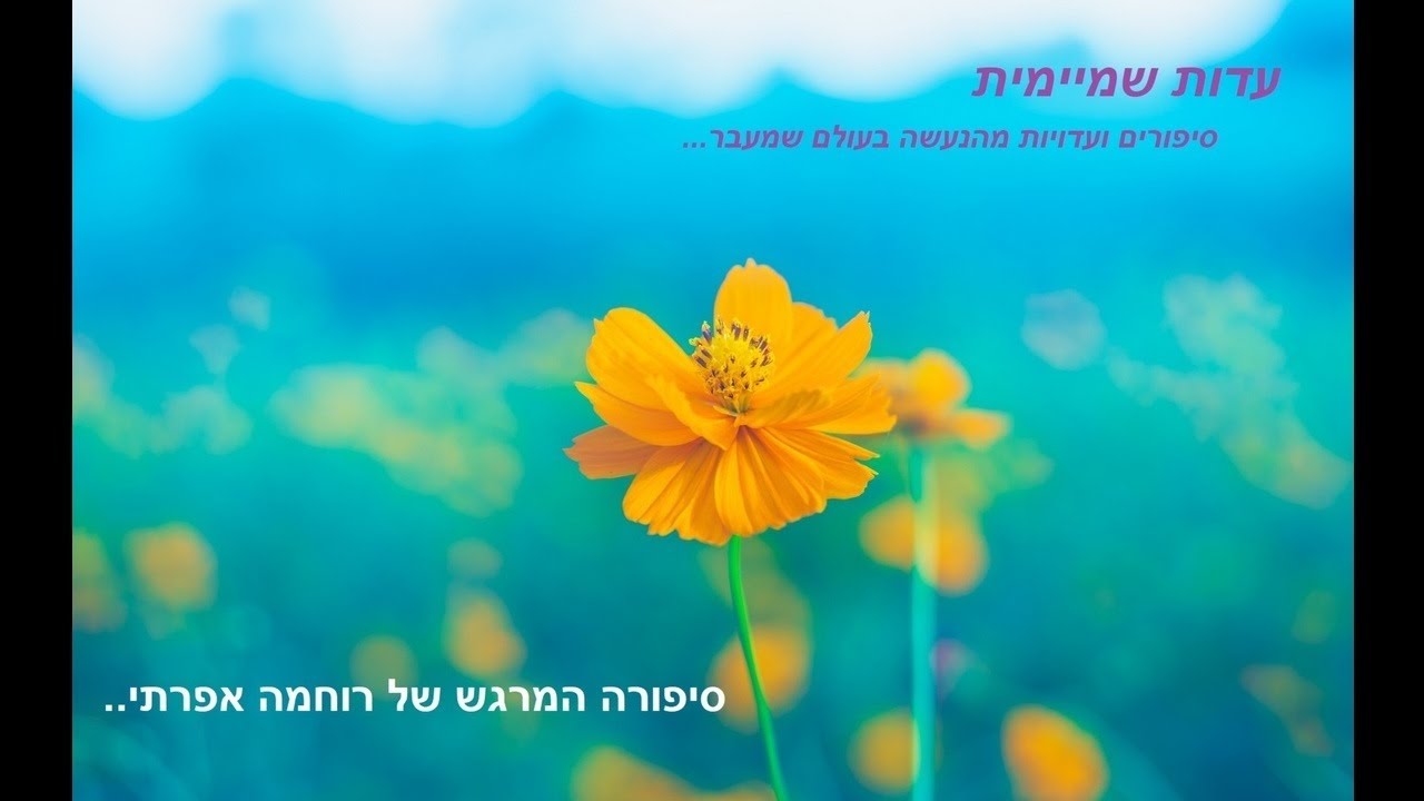 מוות קליני | מחדר הלידה לביקור בעולם האמת | סיפורה של רוחמה אפרתי
