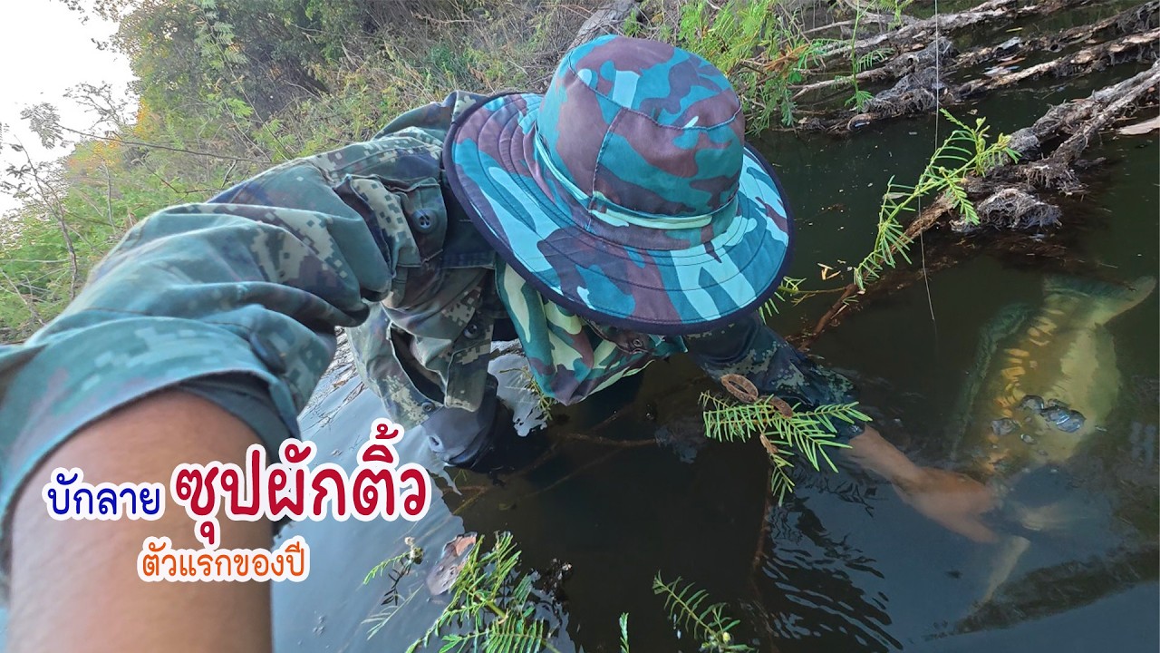 ซุปผักติ้วบักหลายใหญ่ ออกหมายยิงปลาเขื่อน