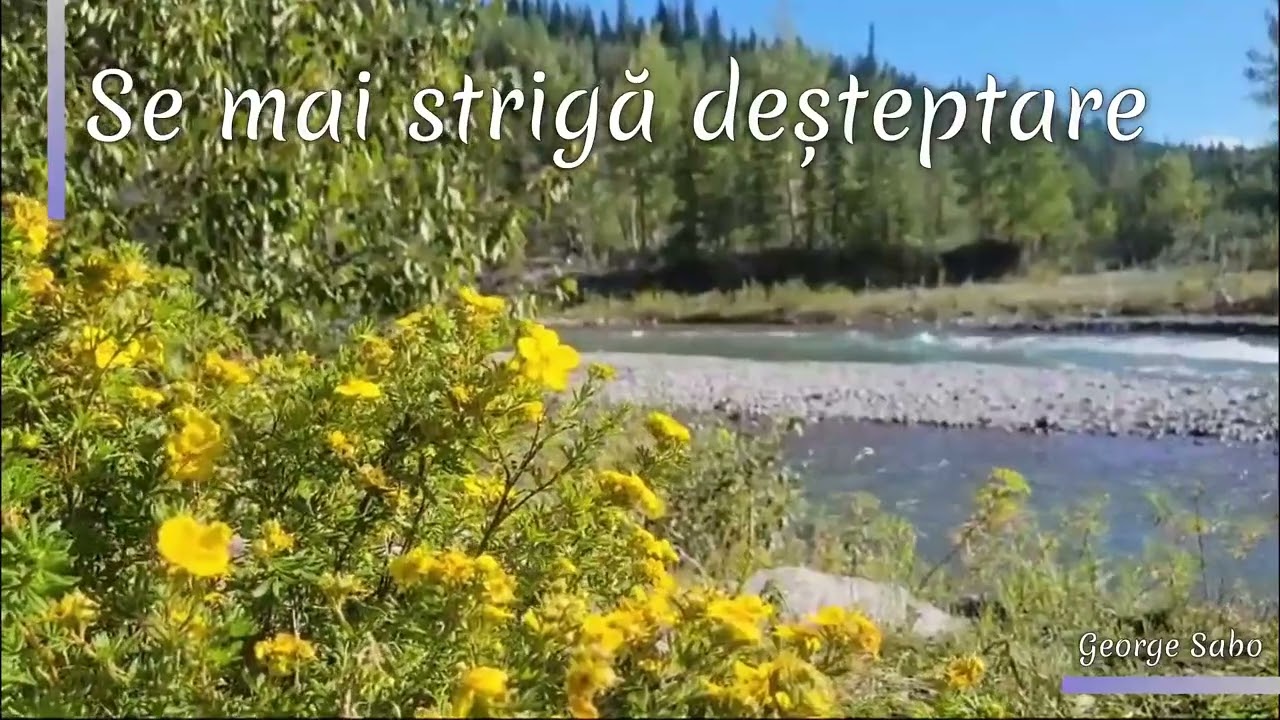 Se mai strigă deșteptare [George Sabo