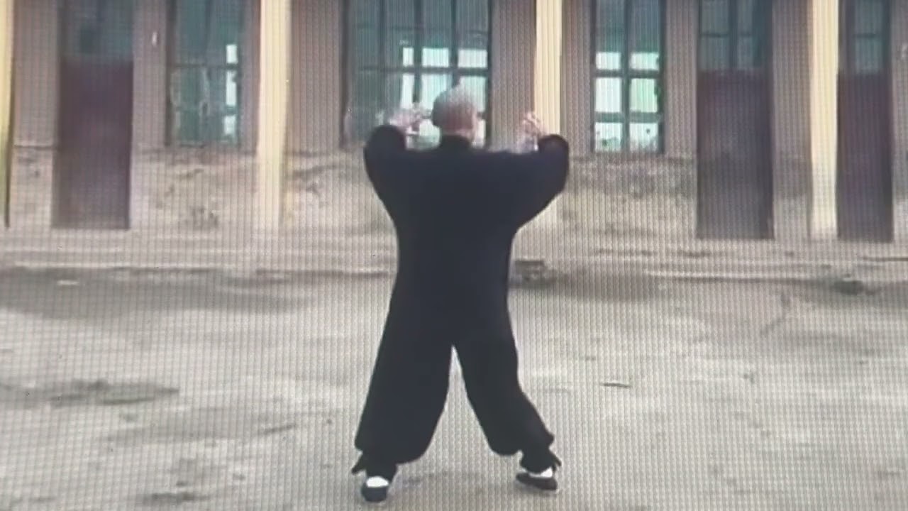 Yang Taichi Quan 85 (Back View), Step1-29; With Music