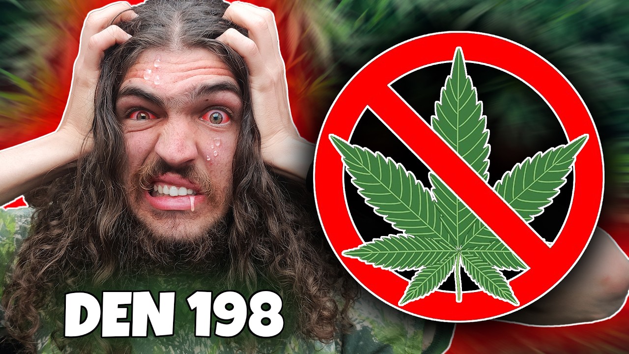 Byl jsem Z&Aacute;VISL&Yacute;, ale PŘESTAL jsem HULIT! Tady je proč...