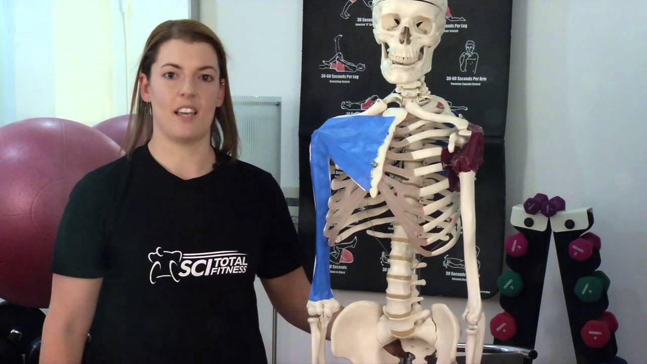 Doorway stretches - Reeve Health Minute