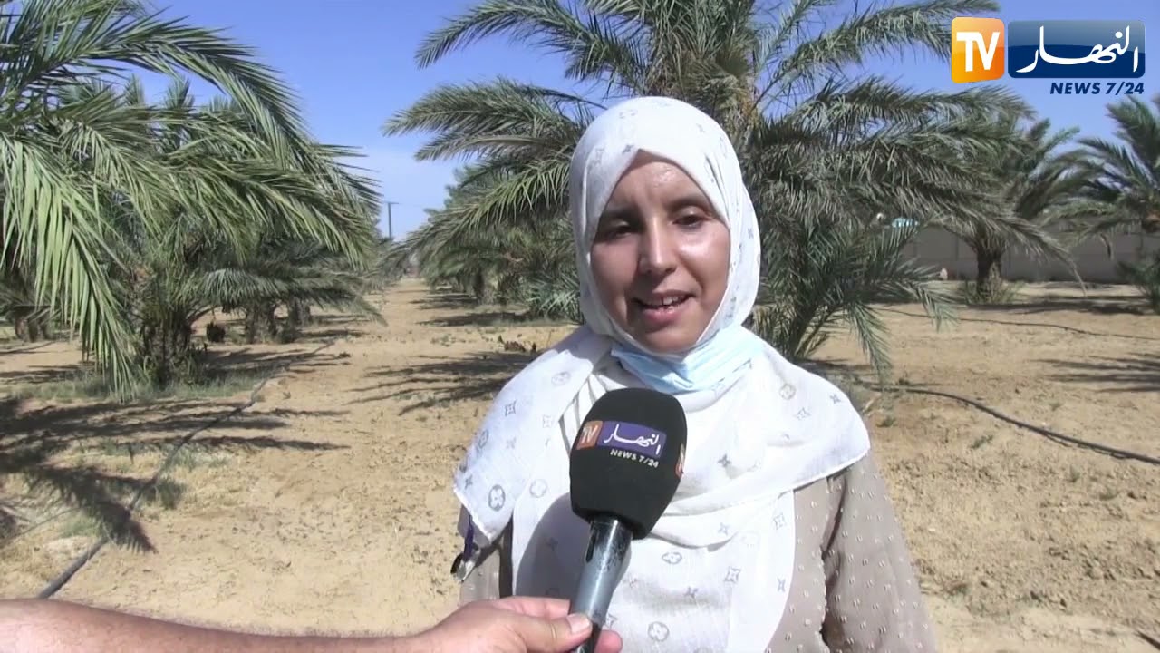 بسكرة : الآلاف من أنواع التمور تبحث عن إستغلال في الصناعة التحويلية
