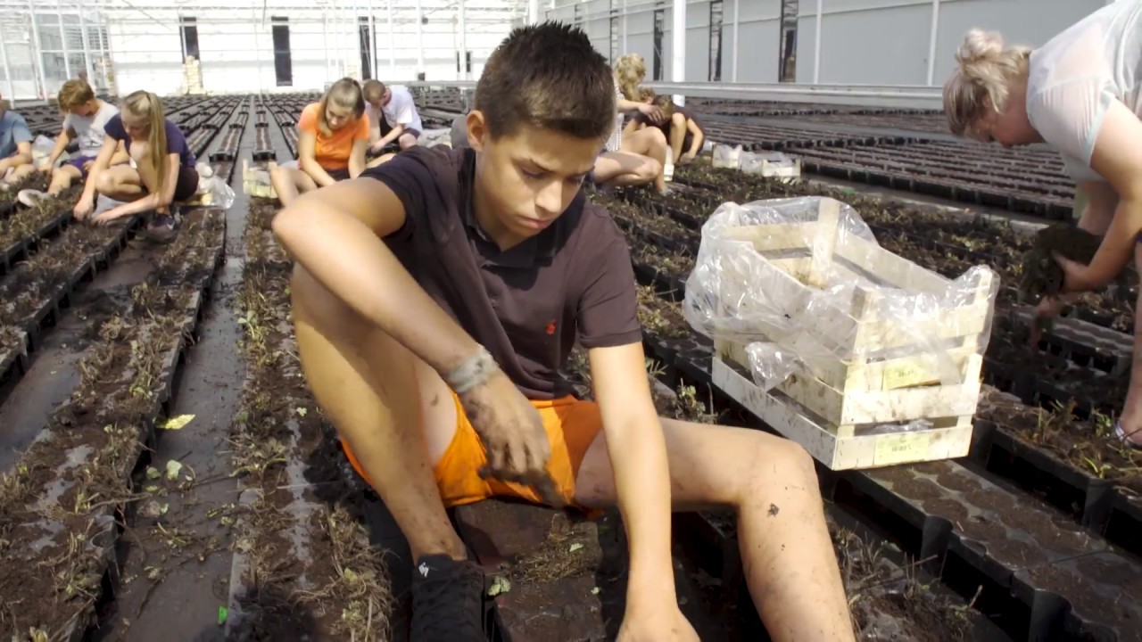van der Avoird Trayplant item Doe Maar Duurzaam S10E12 19 augustus 2018