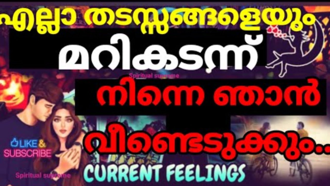 Deep emotions and feelings of your person ♥️😍😱💯✨ Strong obsession for you#reunion 😍😱😘🌈💕💖#love#tarot