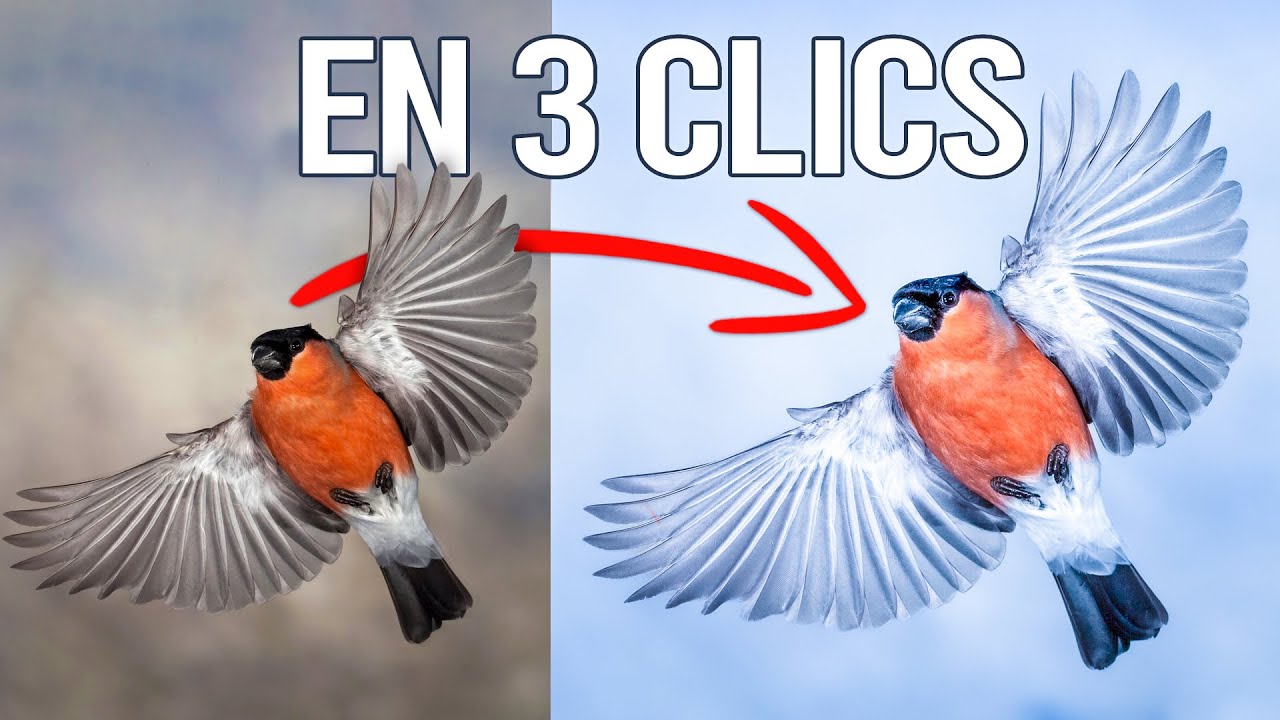 Reproduire le style Orange & Blue sur Lightroom