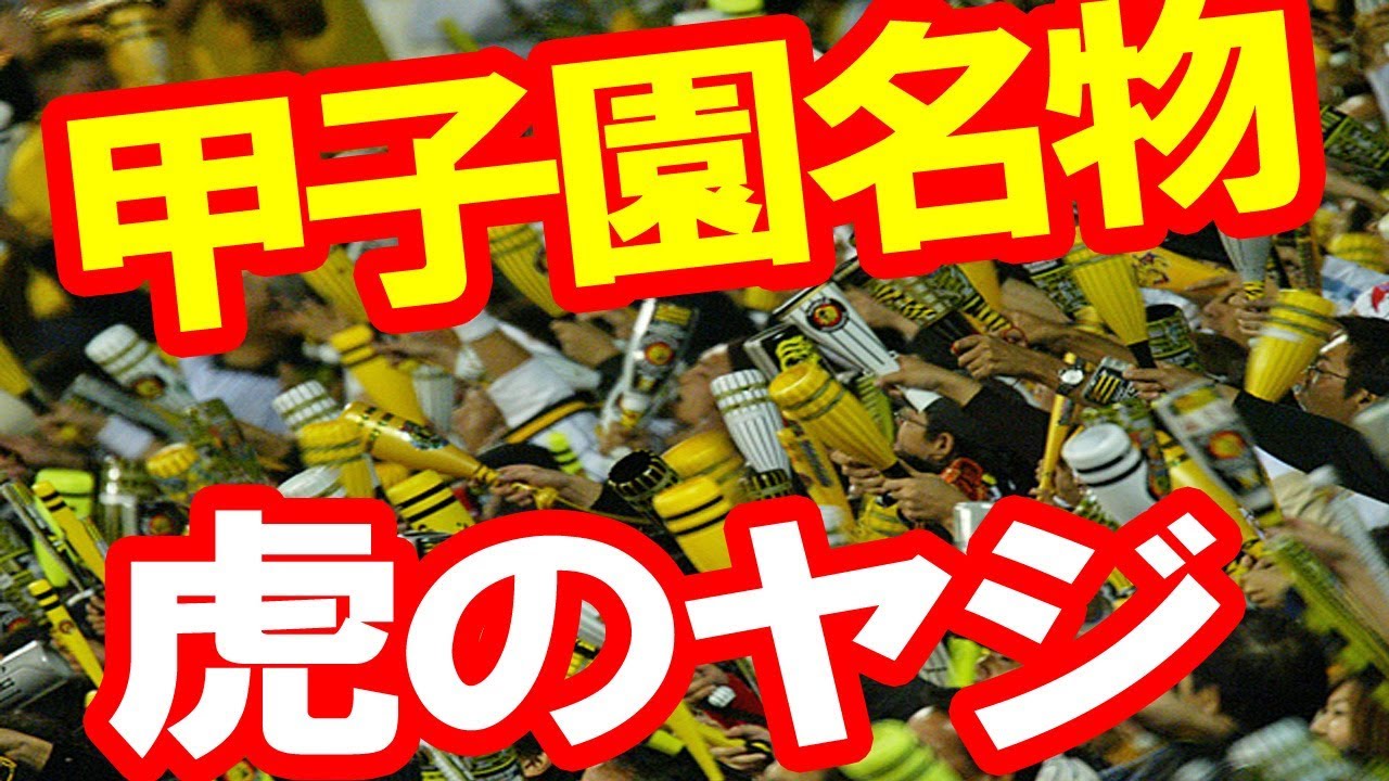 阪神ファンのヤジ、色々ご批判ありますが・・・21連発【抱腹絶倒？！】