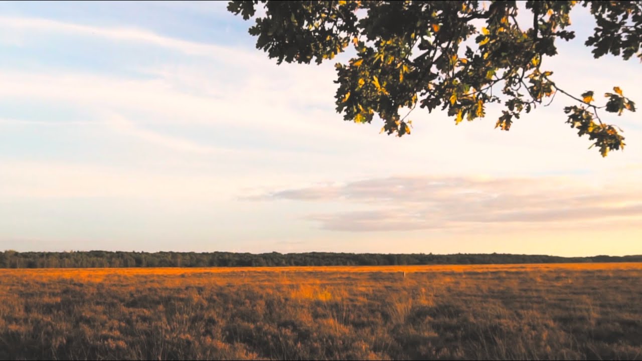 I Will Follow Thee by Advent Pioneers (With Lyrics)