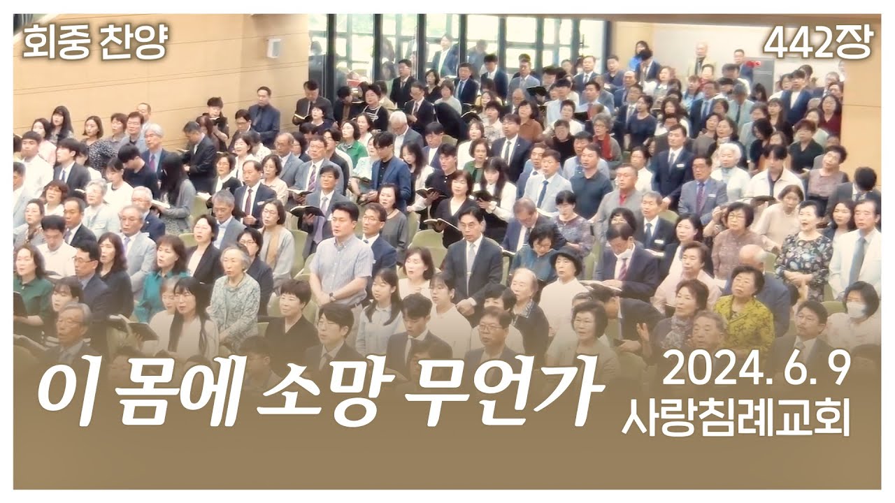 회중 찬양 - 이 몸에 소망 무언가 (442장) | 사랑침례교회 찬양 | 2024. 6. 9