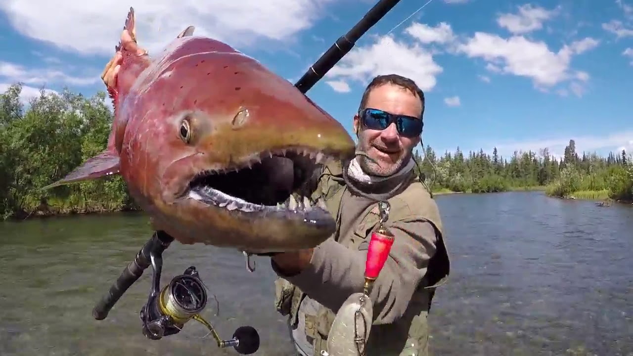 Chilikadrotna River fishing expedition Alaska