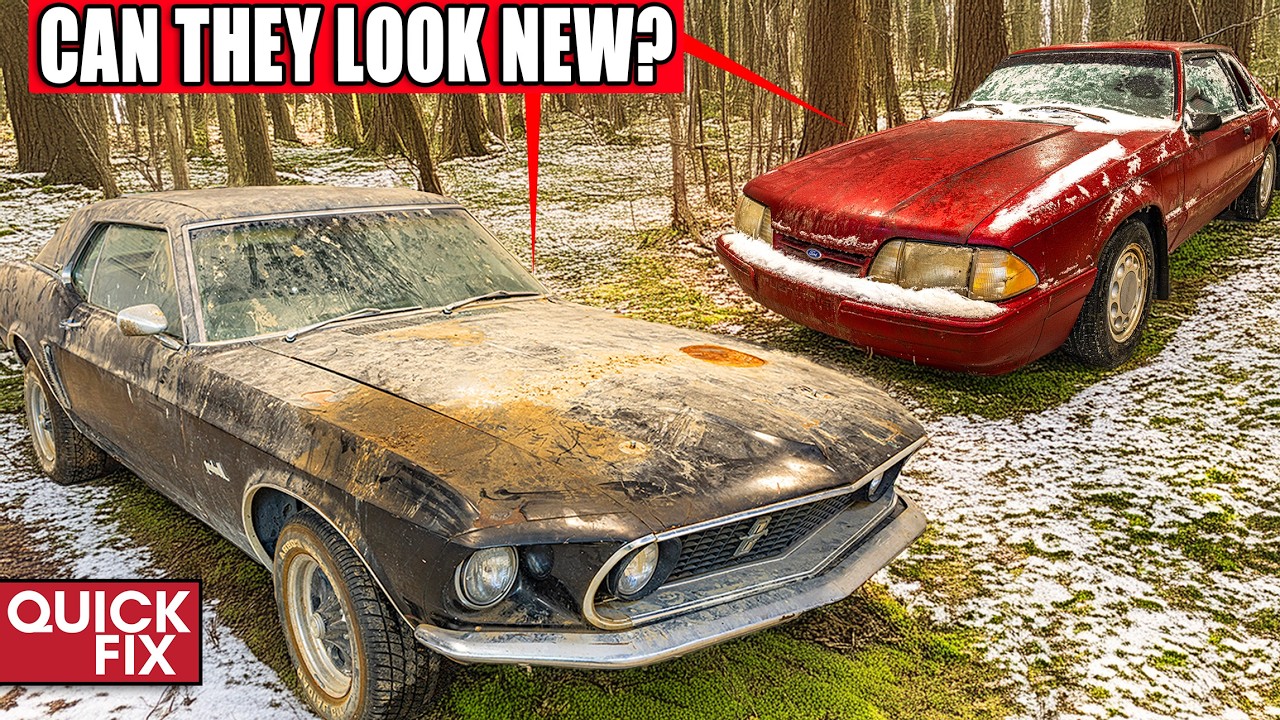 Cleaning The DIRTIEST Abandoned Ford Mustangs! | Quick Fix