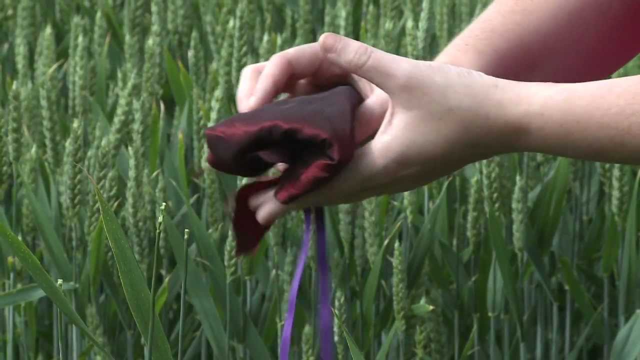 Tea Growers UK