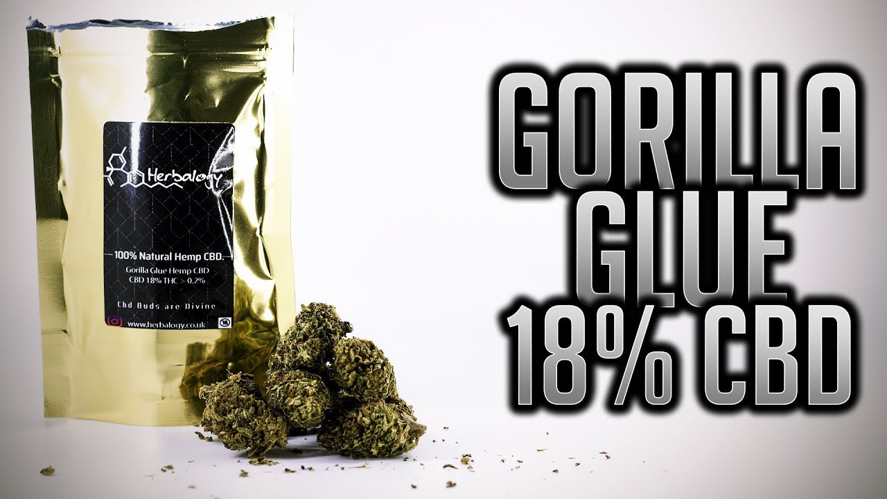 GORILLA GLUE 18% CBD | Herbalogy