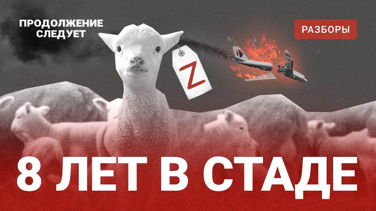 Как Кремль управляет нашими мыслями. Эксперимент, поставленный после катастрофы Малайзийского боинга