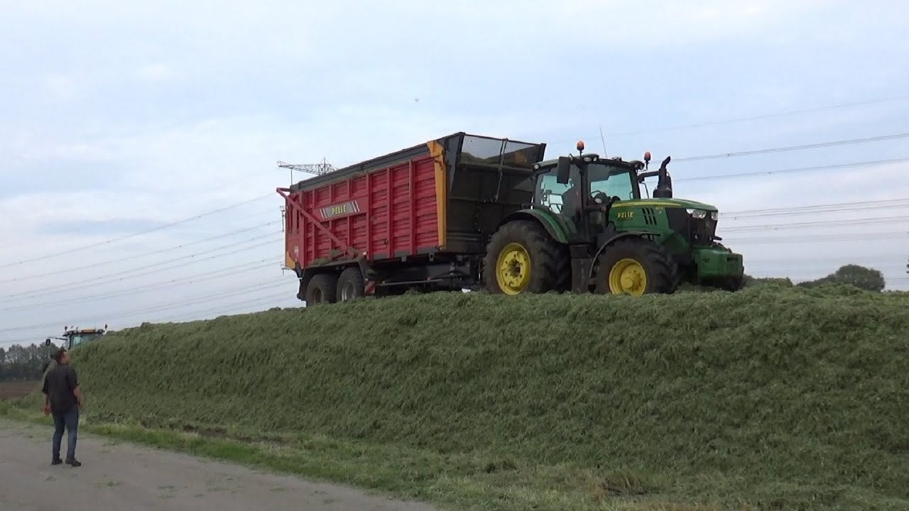 Pelle grass silage