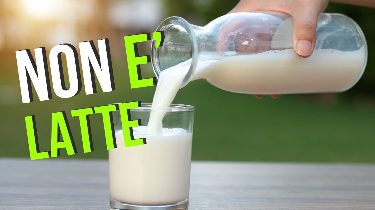Latte di avena con 16 centesimi!!!