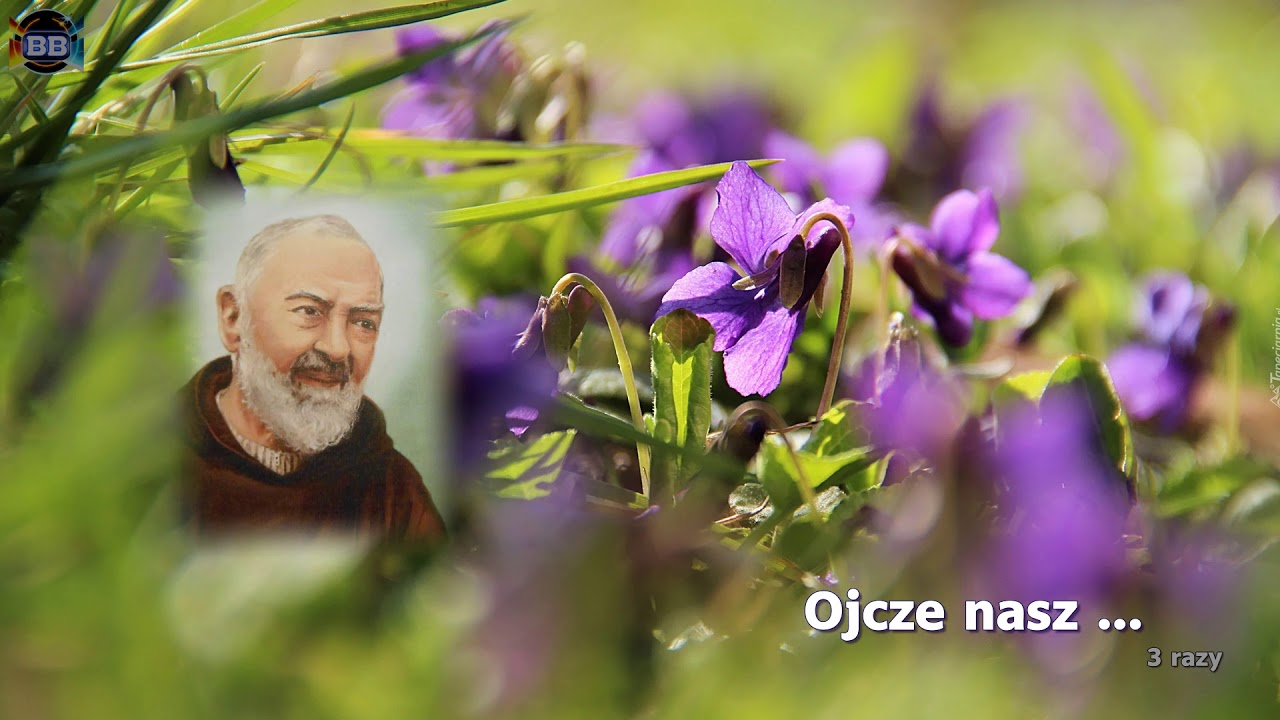 Koronka za wstawiennictwem świętego Ojca Pio