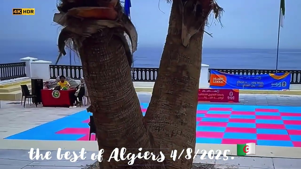 Le meilleur que nous ayons filmé à Alger, avant de perdre nos caméras.Et  la dernière vidéo à Alger.