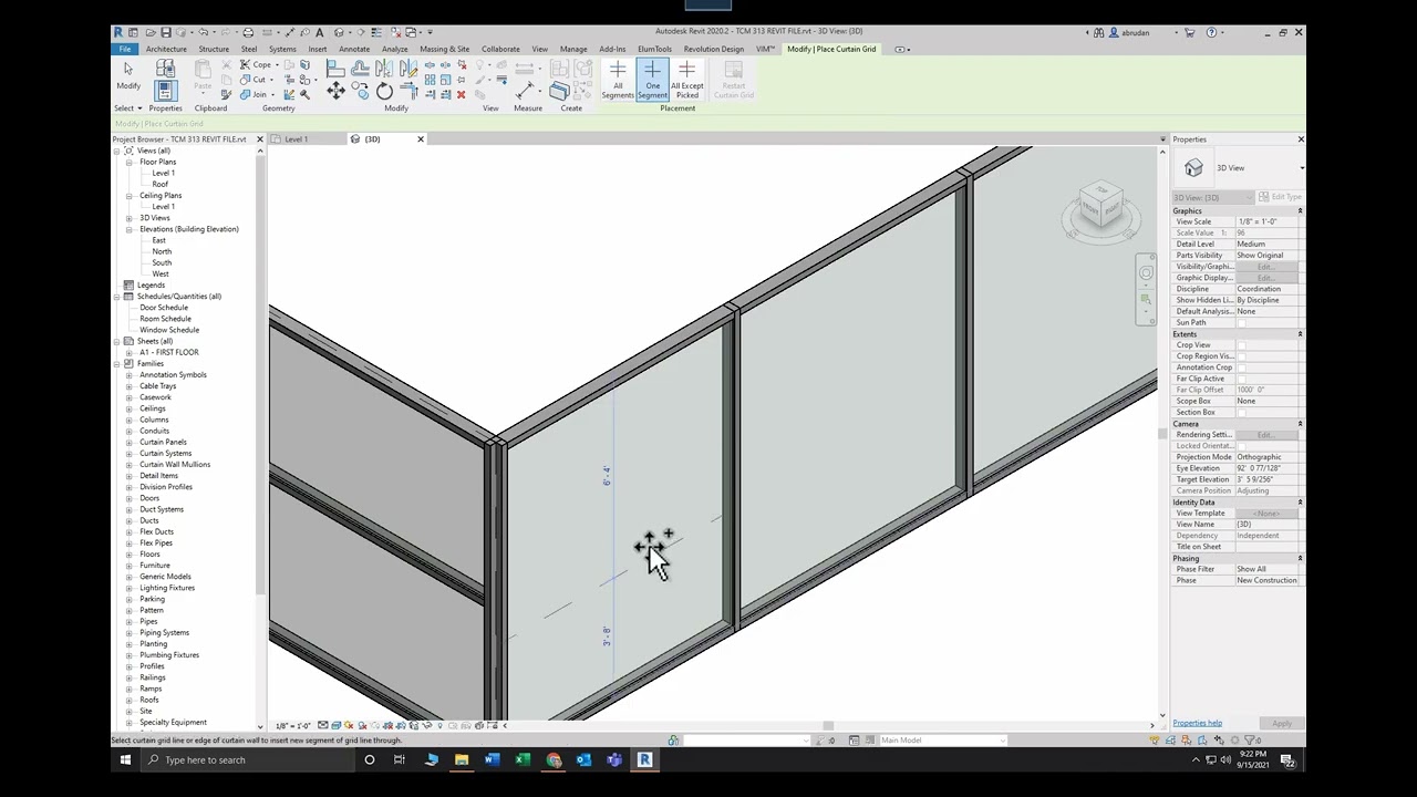 Lecture 3 1  Revit and Curtain Walls/Roofs