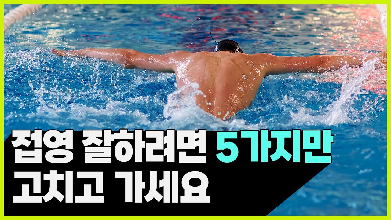 수영 접영할 때 왜 실수하는지 궁금하셨죠?