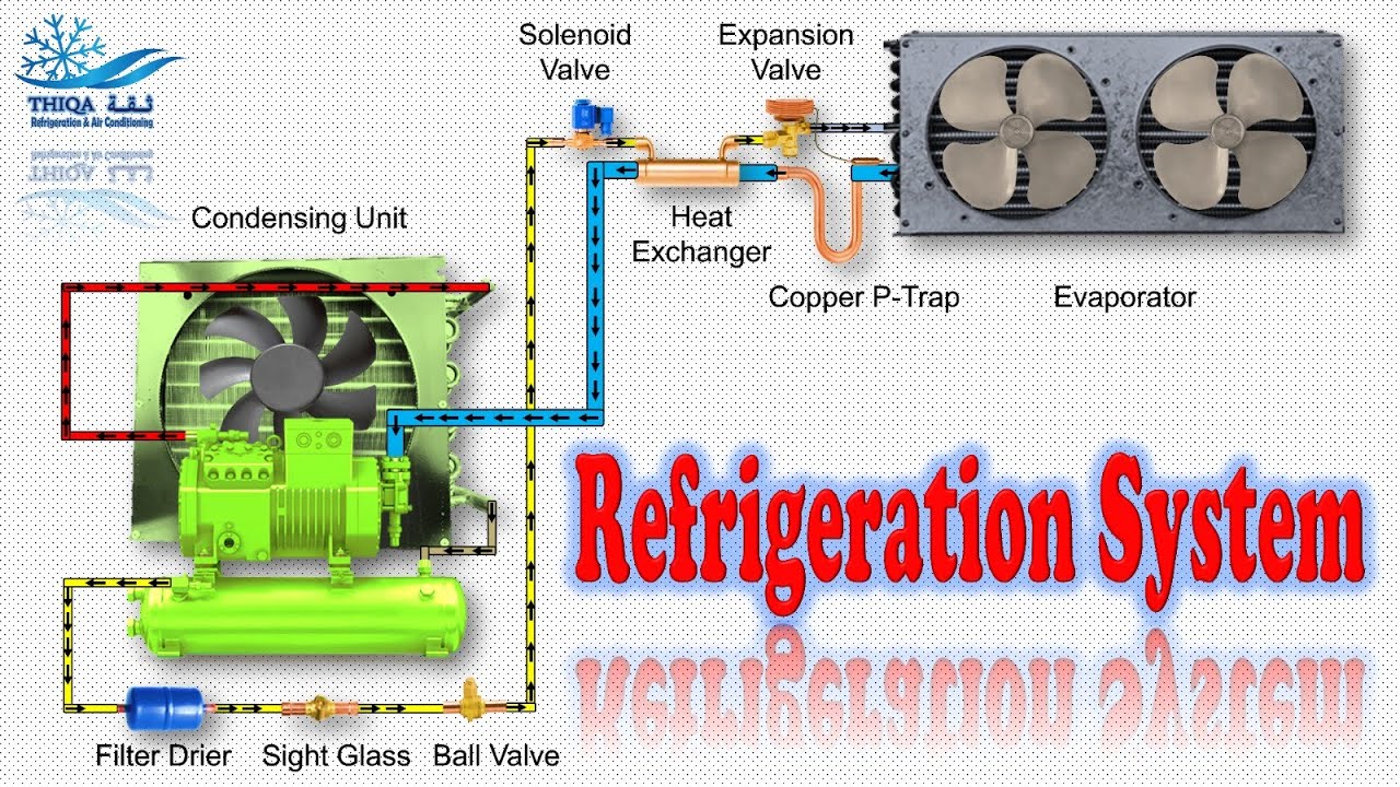 HVAC Working Principle of cold room Animation | English #refrigeration #chillers #hvac