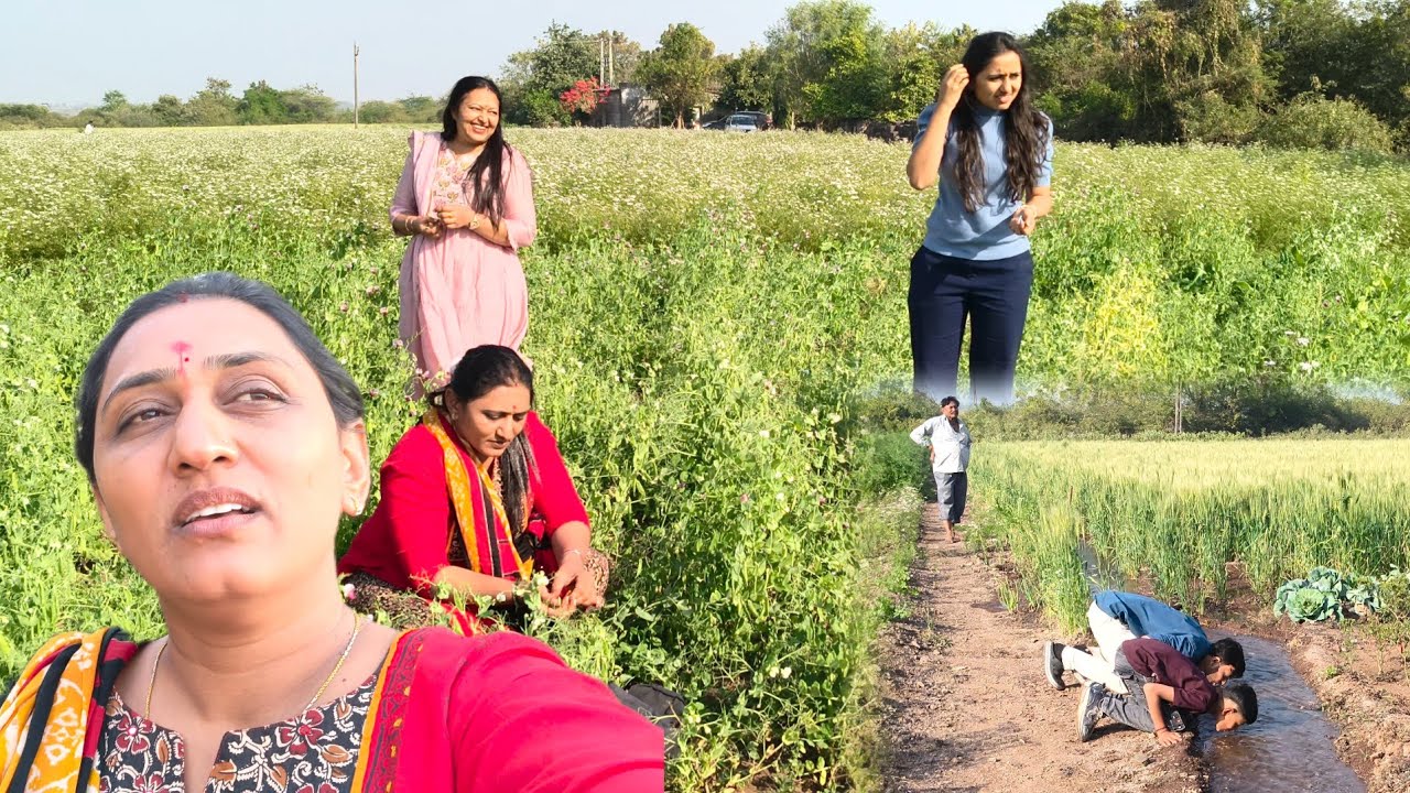 વાડીએ વટાણા ની મોજ #villlagelife #travelvlog