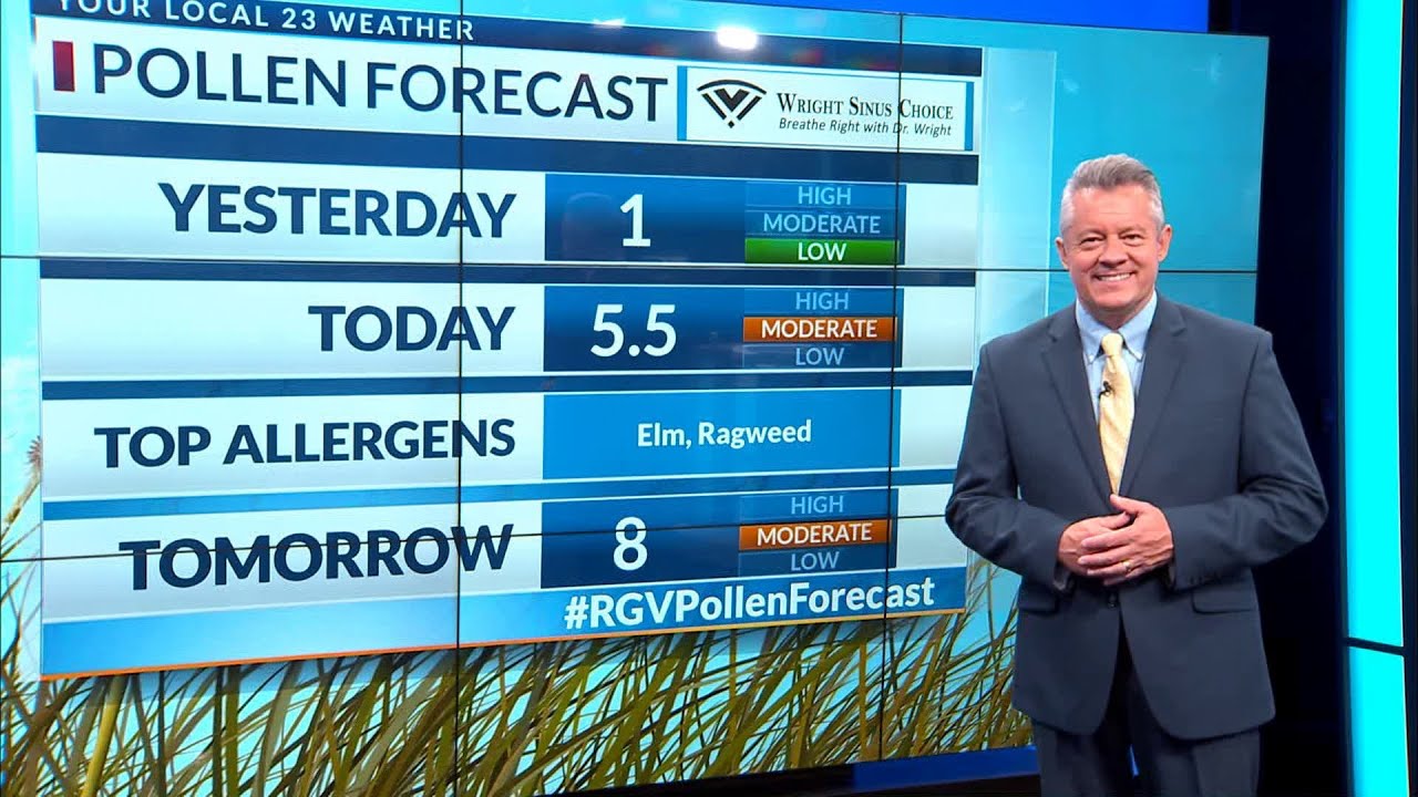 Pollen Forecast September 6, 2019