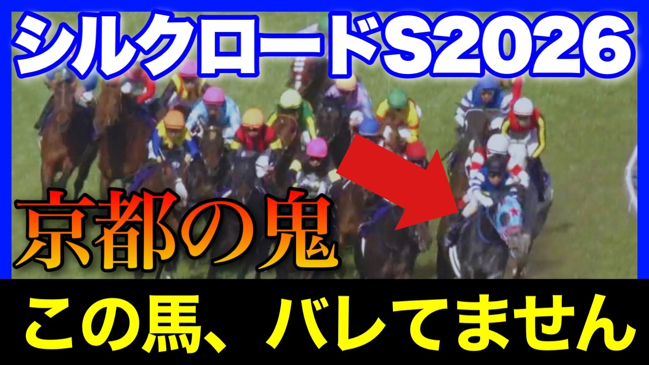 実は強いのにあまりバレず、激美味オッズになりそうな馬がいます🏇🔥【シルクロードS 2026】