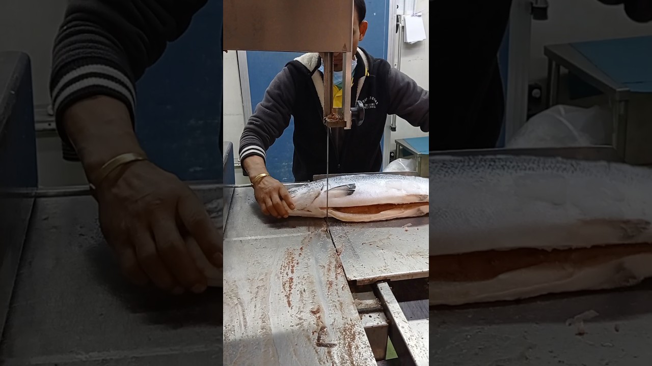 Australia Frozen How To Make Salmon Fish Cutting Machine Skills#shorts