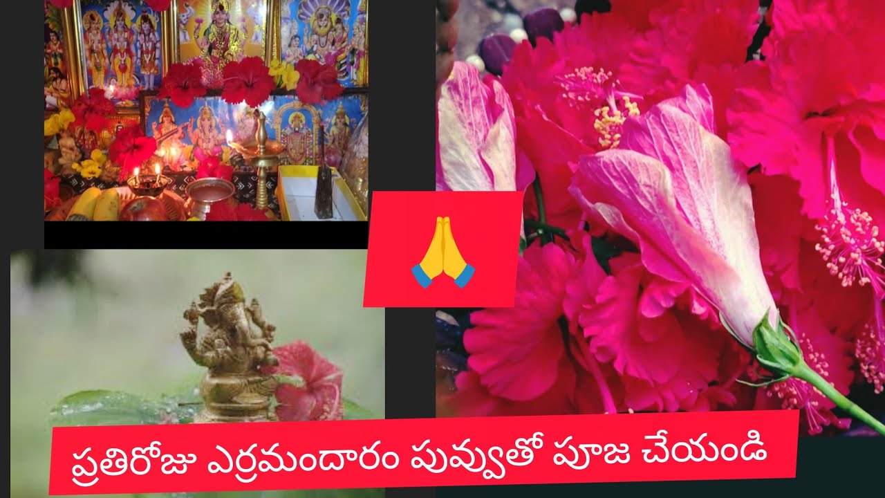 ప్రతిరోజు నా పూజా విధానం 🙏🙏 మనసుకు ప్రశాంతత నిచ్చే నిత్య దీపారాధన 🙏🙏
