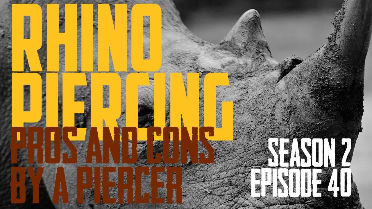 Rhino Piercing Pros & Cons & Everything Else by a Piercer S02 EP40