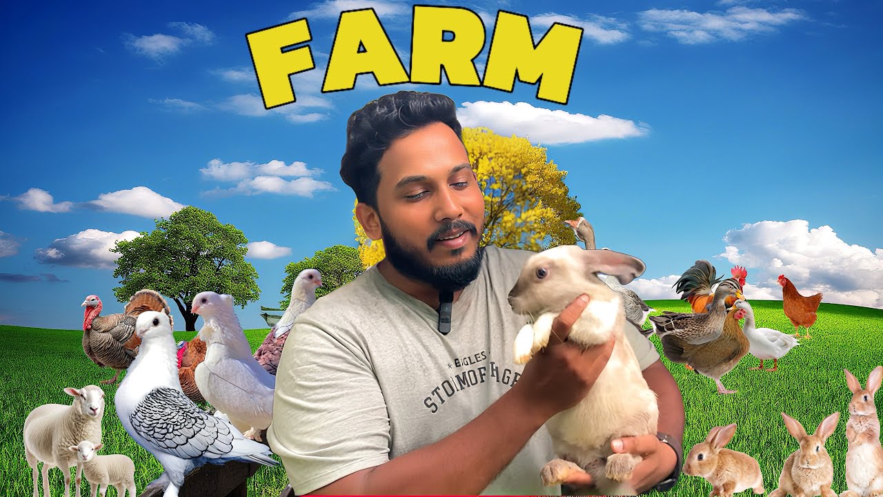 මම Farm එකක දවසක් ගත කලා 🌾🐑අවුරැදු 50කට වඩා පැරනි සත්ව ගොවිපලක් 🦔🐓🦃සත්තු වත්තක් වගේ සත්තු පිරිලා🦜🕊️