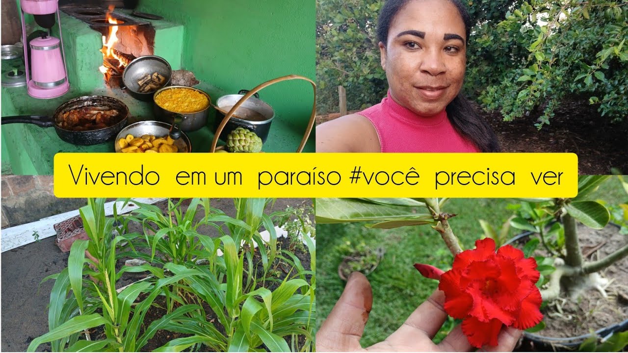 #calmaria