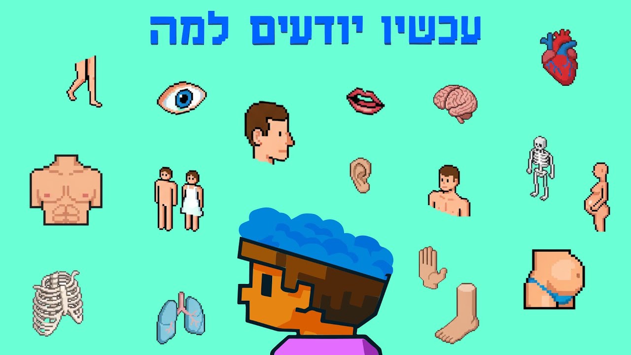 ? למה יש לנו טבור
