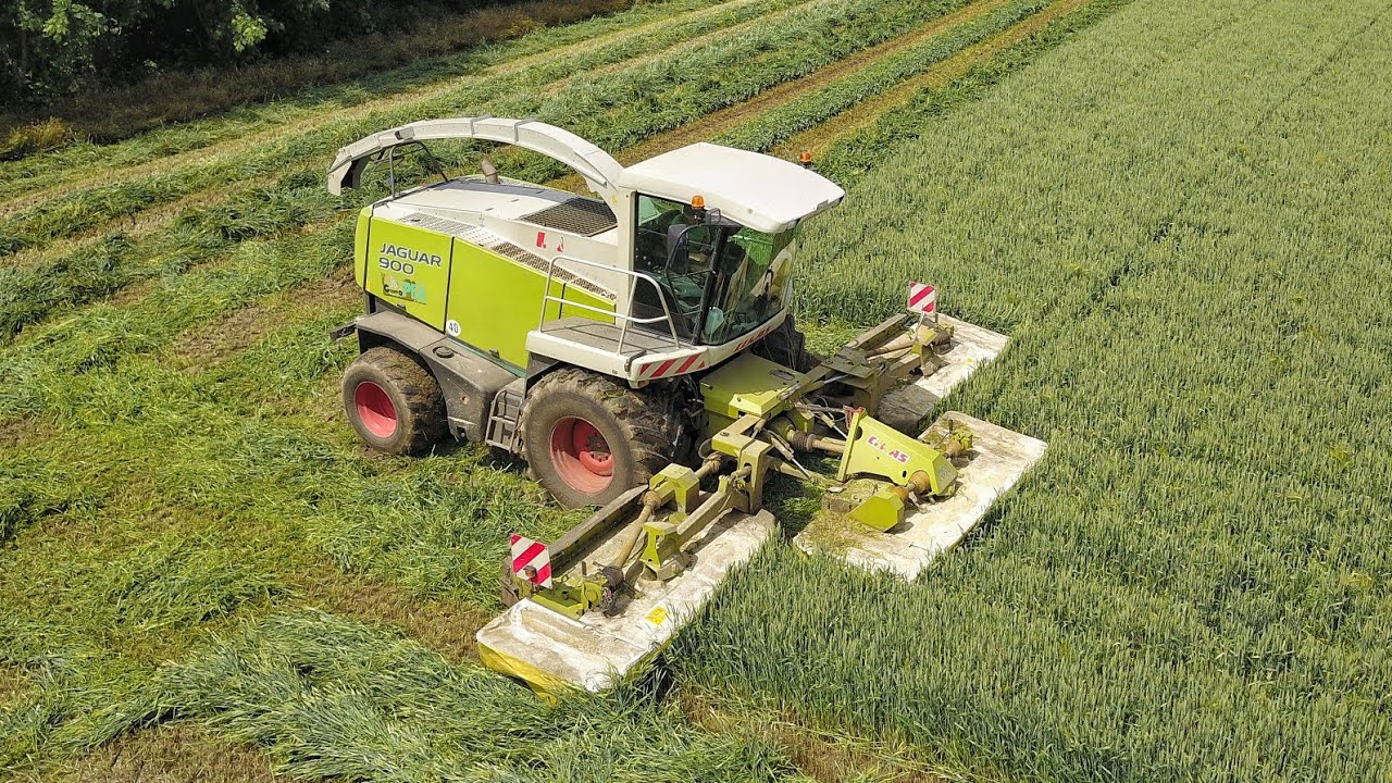Sfalcio Frumento JAGUAR 900 + Claas Disco 8700 | GRUPPO PEA Wheat mowers