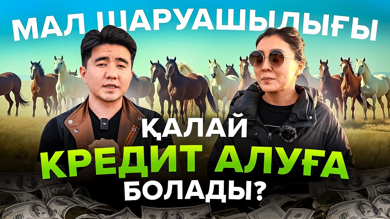 16 000 000 тг кредит алған фермер. Мал шаруашылығы