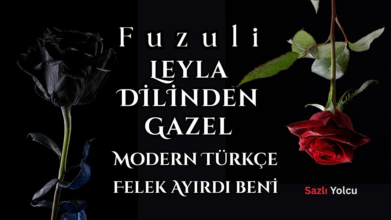 Leyla Dilinden Gazel — Modern Türkçe, Ulu Ozan Fuzuli, Sazlı Yolcu