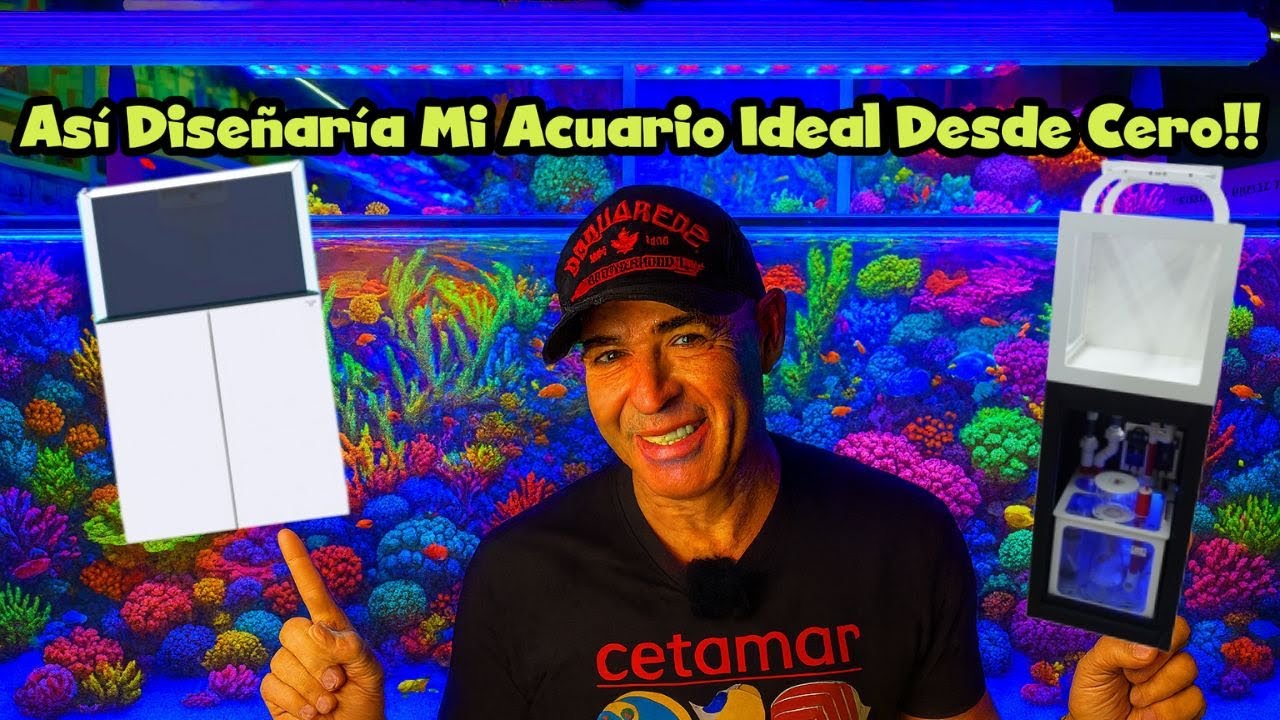 Así Diseñaría Mi Acuario Ideal Desde Cero!!