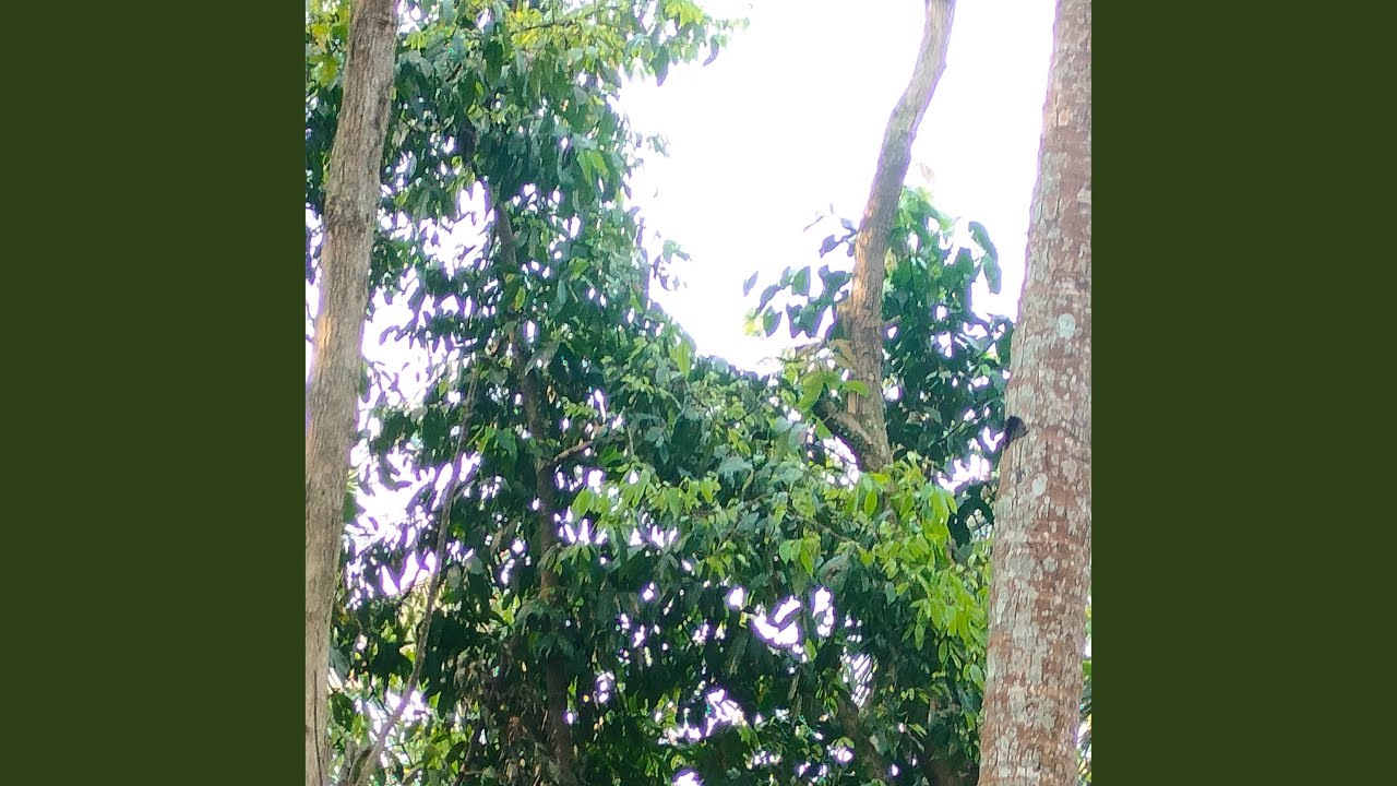 menyimpan rasa