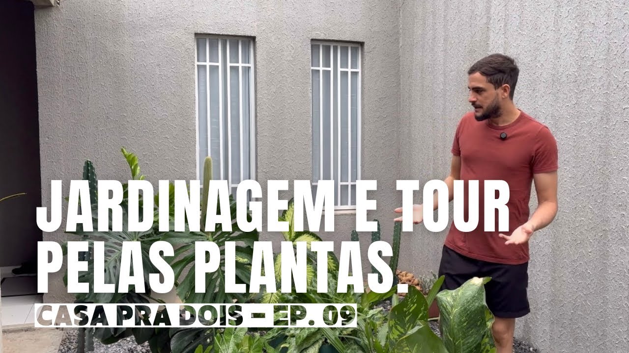 EP. 09 - PLANTAS EM CASA: PLANTA NOVA, MUDINHAS, E PLANTAS NA DECORAÇÃO.
