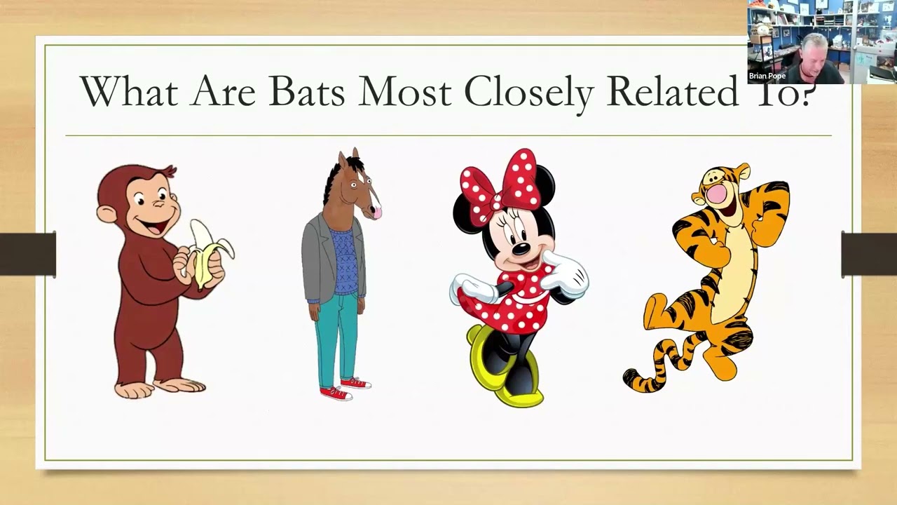 Bat Welfare Implications for Conservation, Education, and Awareness