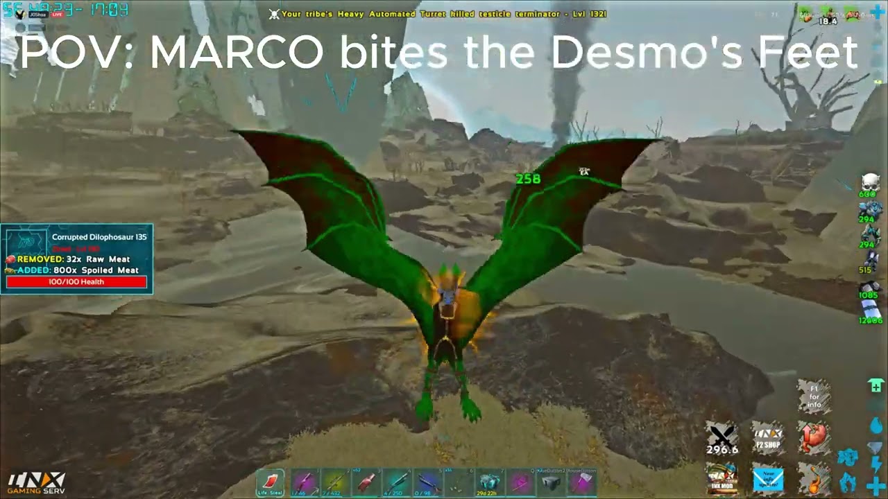 DingleBobs Revenge Story... wait till the end (gone wrong) They got 3v1'd INX ARK