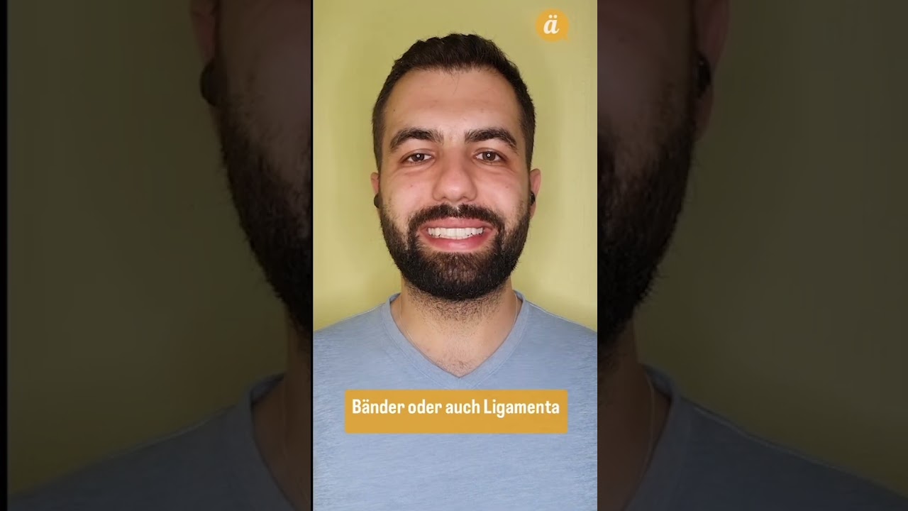 Kennt ihr den Unterschied zwischen B&auml;nder + Sehnen? 🤔 #medizin #pr&uuml;fungsvorbereitung #&auml;rztesprech
