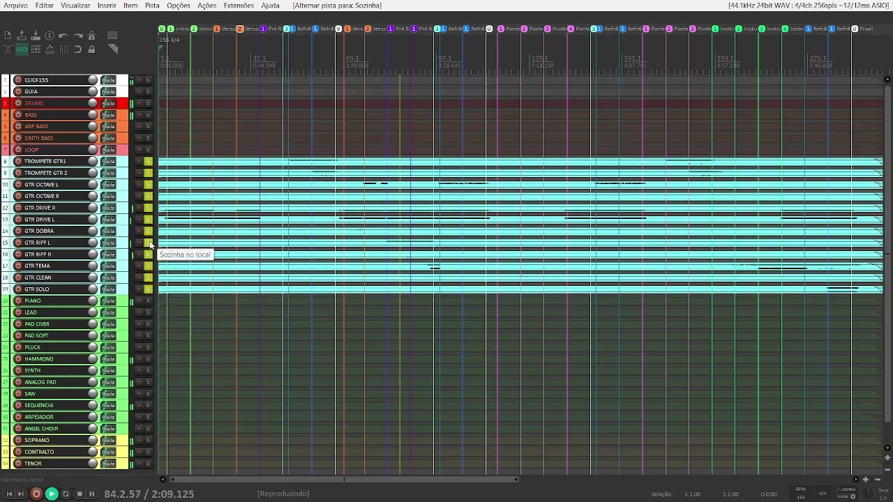Indesculpável - Fhop Music #multitrack #playback #vs