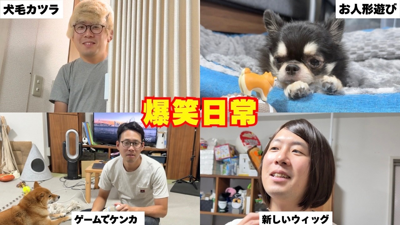 顔出し犬系YouTuber、犬の毛をカツラにして愛犬にため息つかれる日常ww