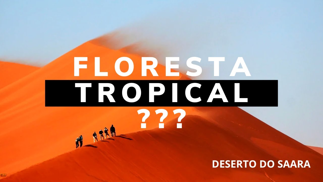 O Deserto do Saara j&aacute; foi uma floresta tropical