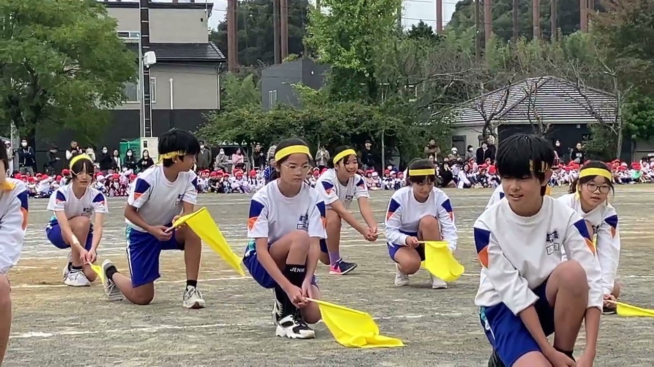 R7 碧衣