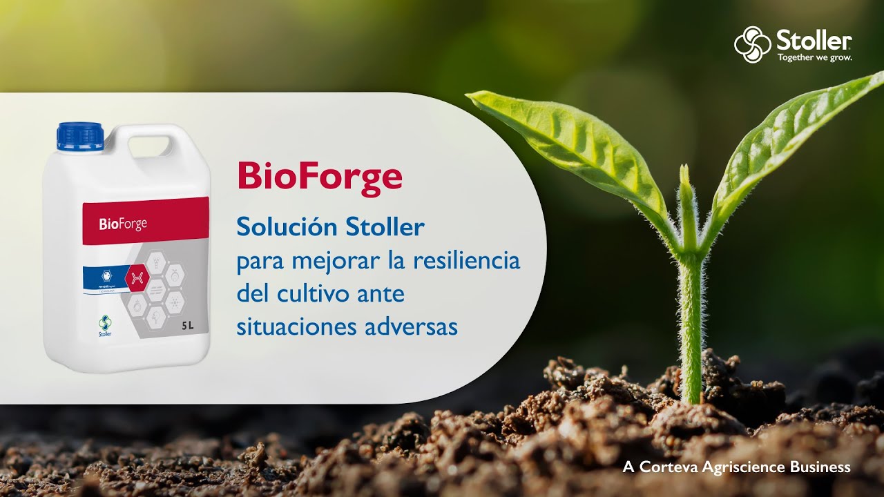 BioForge | Mejora la resiliencia del cultivo ante situaciones adversas