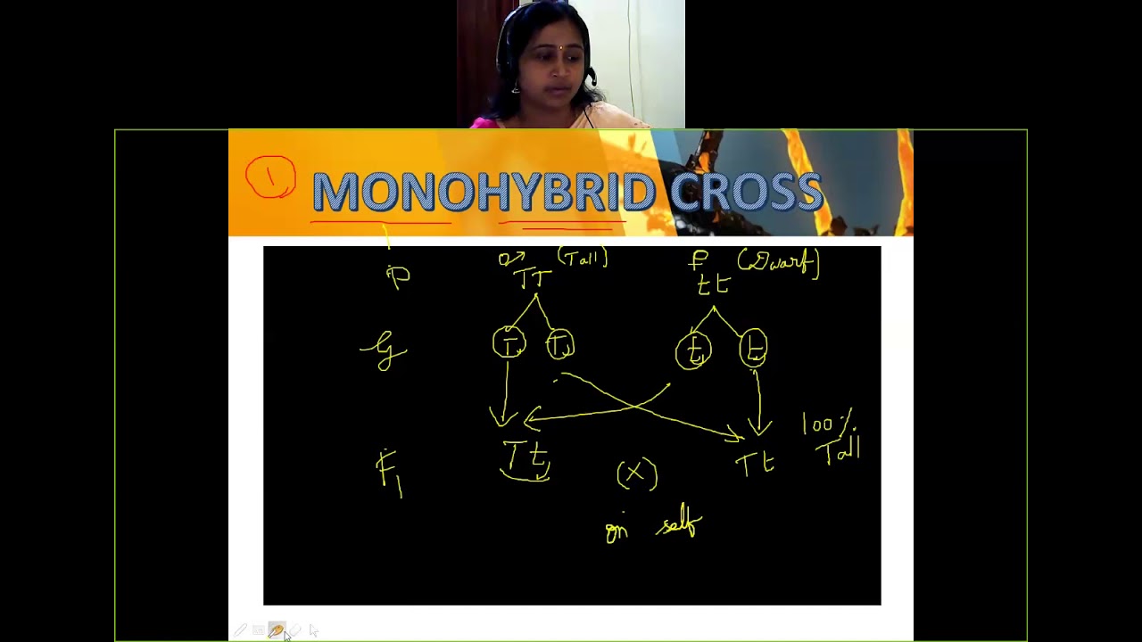 CBSE-CLASS- 12-BIOLOGYCHAPTER- LAWS OF MENDEL(MONOHYBRID AND DIHYBRID CROSS)