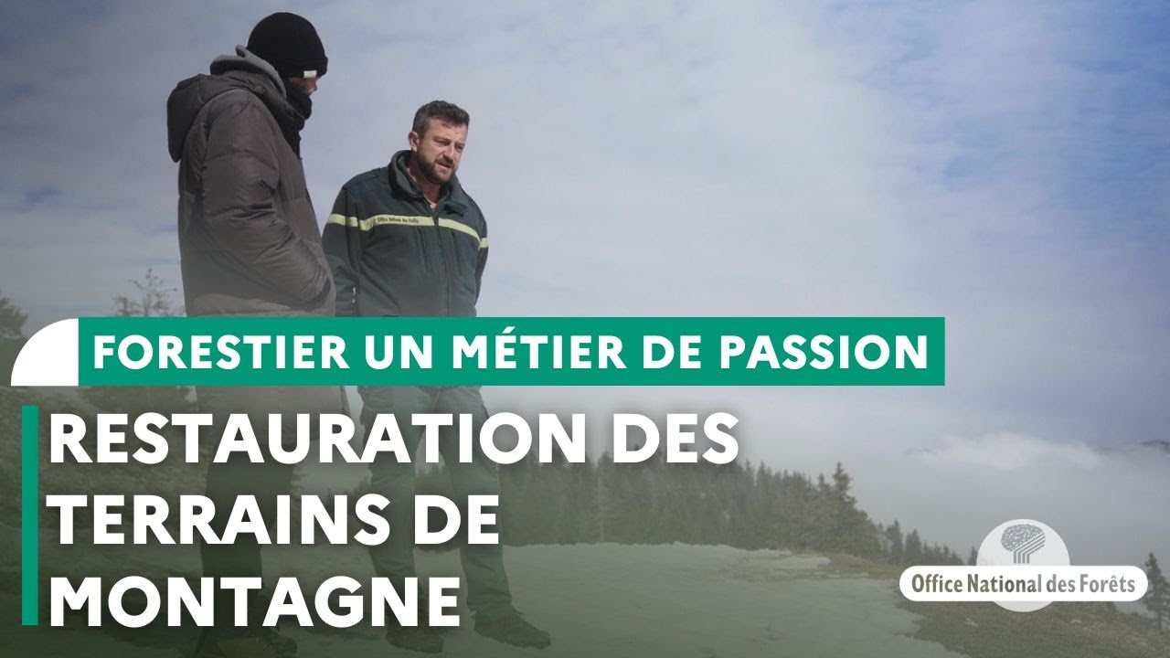 Être forestier dans les Alpes